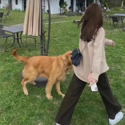 玉米地的小孩:大逃亡 海报